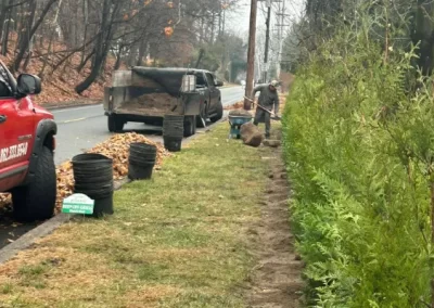 Professional landscaping services