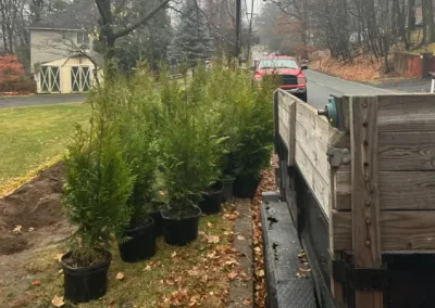 Quality landscaping services