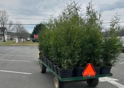 Reliable landscaper