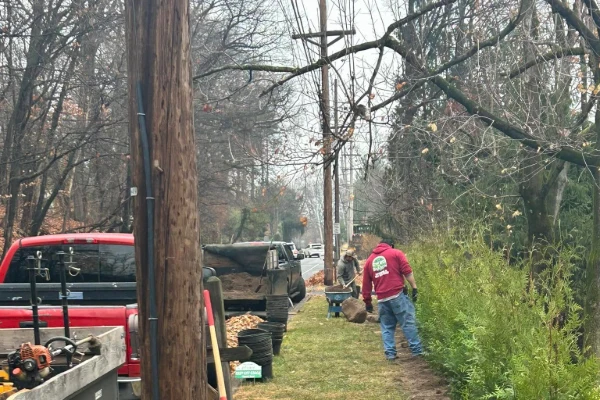 Tree Maintenance Tree Maintenance