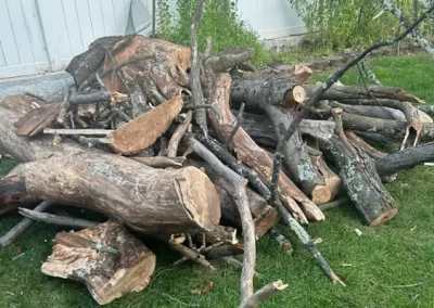 Trusted landscaper