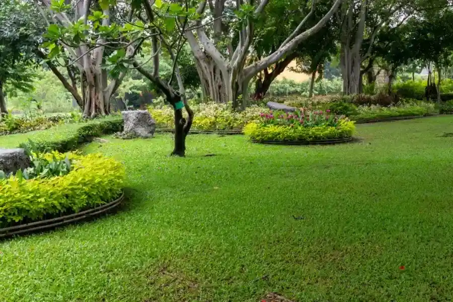 Affordable Landscape Maintenance Bergenfield NJ