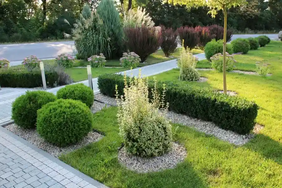 Essential Tips For Year-round Landscape Care And Upkeep in Bergenfield NJ