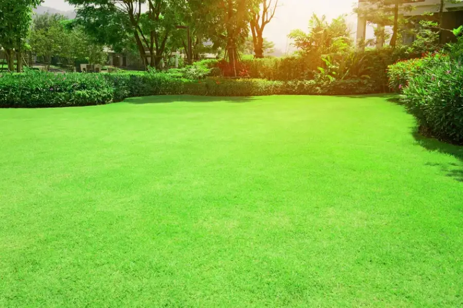 How Regular Landscape Maintenance Improves Property Value Bergenfield NJ