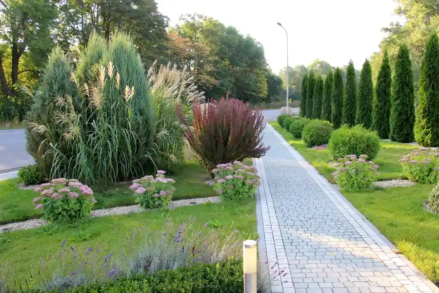 Reliable Landscape Maintenance Bergenfield NJ