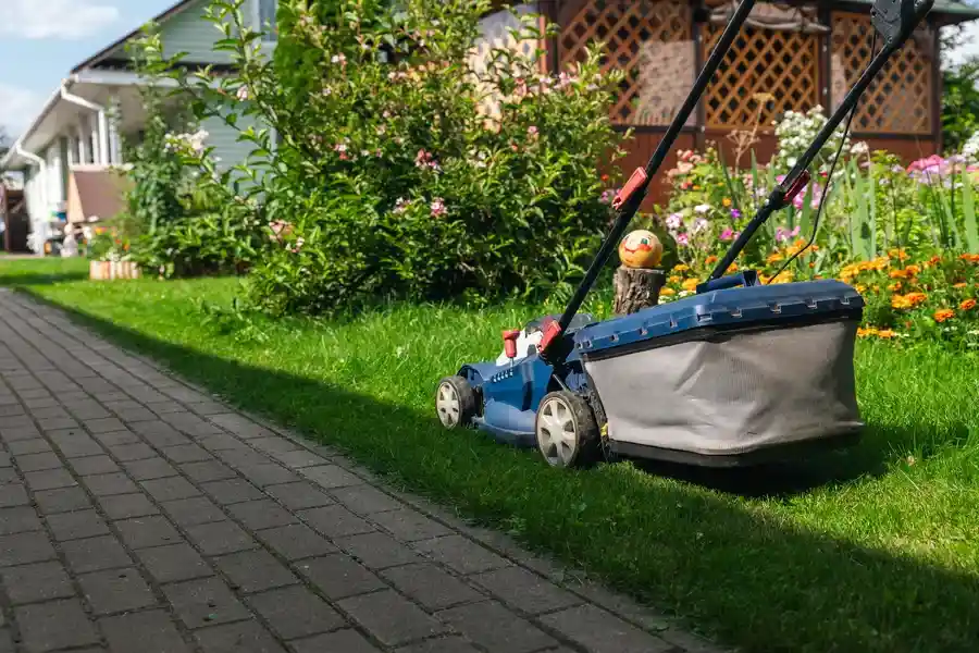 Top-rated Landscape Maintenance Bergenfield NJ